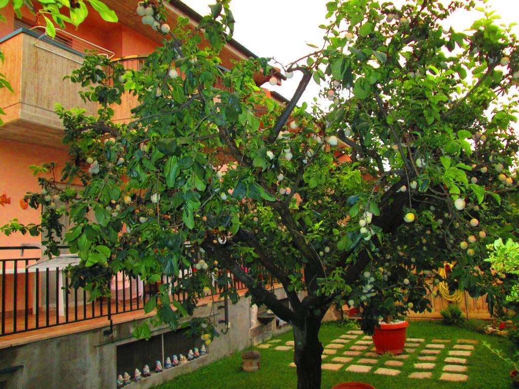 B&B Le Begonie Ασκόλι Πιτσένο Εξωτερικό φωτογραφία