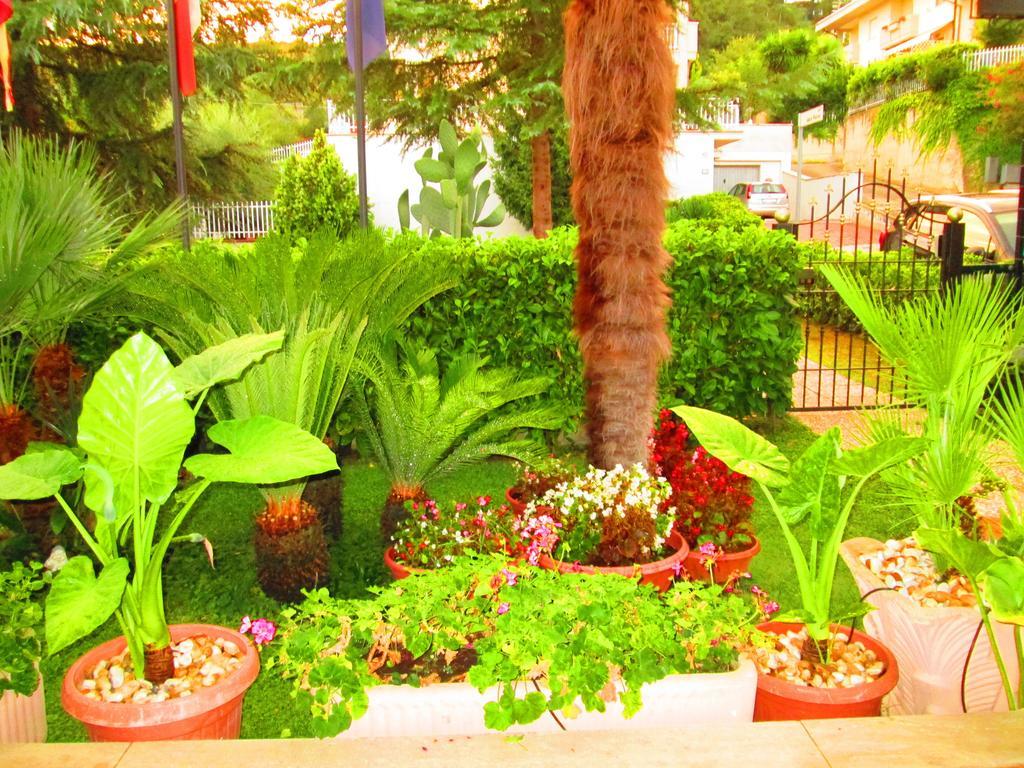 B&B Le Begonie Ασκόλι Πιτσένο Δωμάτιο φωτογραφία