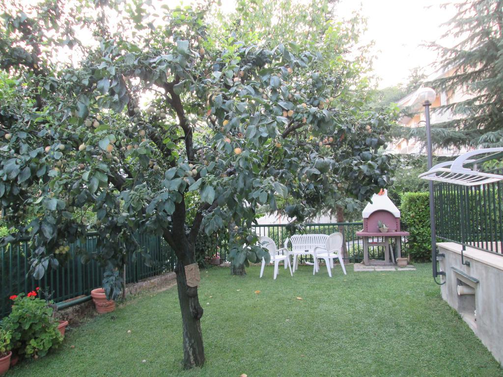 B&B Le Begonie Ασκόλι Πιτσένο Εξωτερικό φωτογραφία
