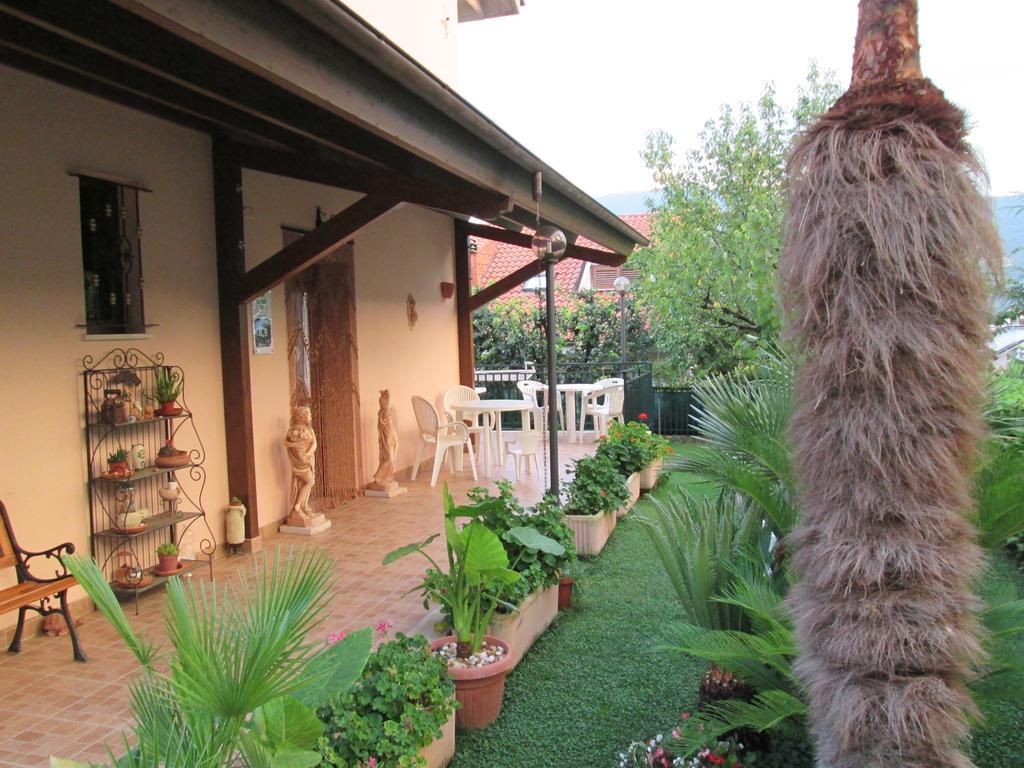 B&B Le Begonie Ασκόλι Πιτσένο Εξωτερικό φωτογραφία