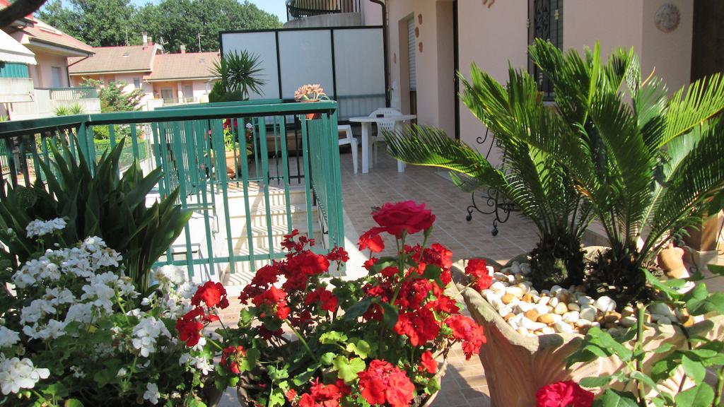 B&B Le Begonie Ασκόλι Πιτσένο Δωμάτιο φωτογραφία