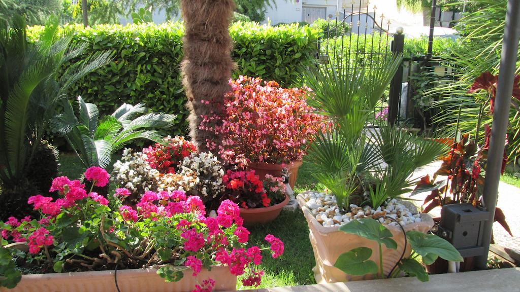 B&B Le Begonie Ασκόλι Πιτσένο Εξωτερικό φωτογραφία