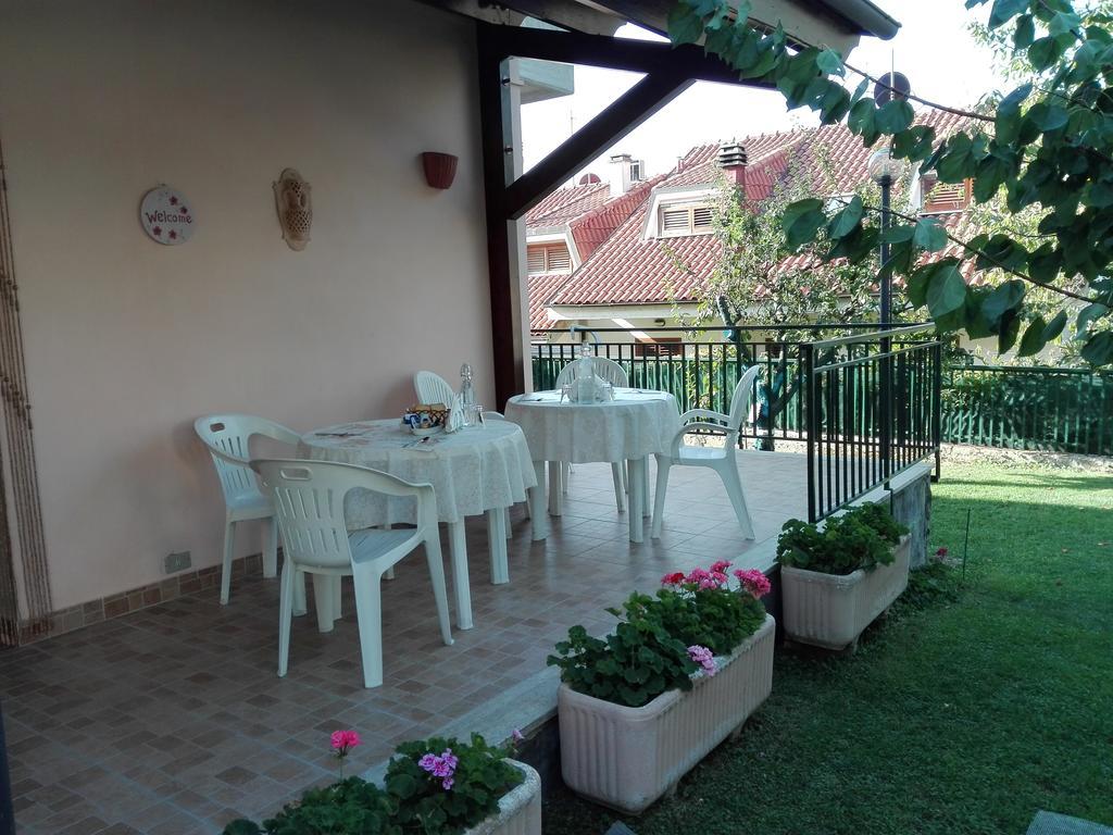 B&B Le Begonie Ασκόλι Πιτσένο Εξωτερικό φωτογραφία